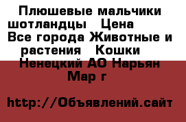 Плюшевые мальчики шотландцы › Цена ­ 500 - Все города Животные и растения » Кошки   . Ненецкий АО,Нарьян-Мар г.